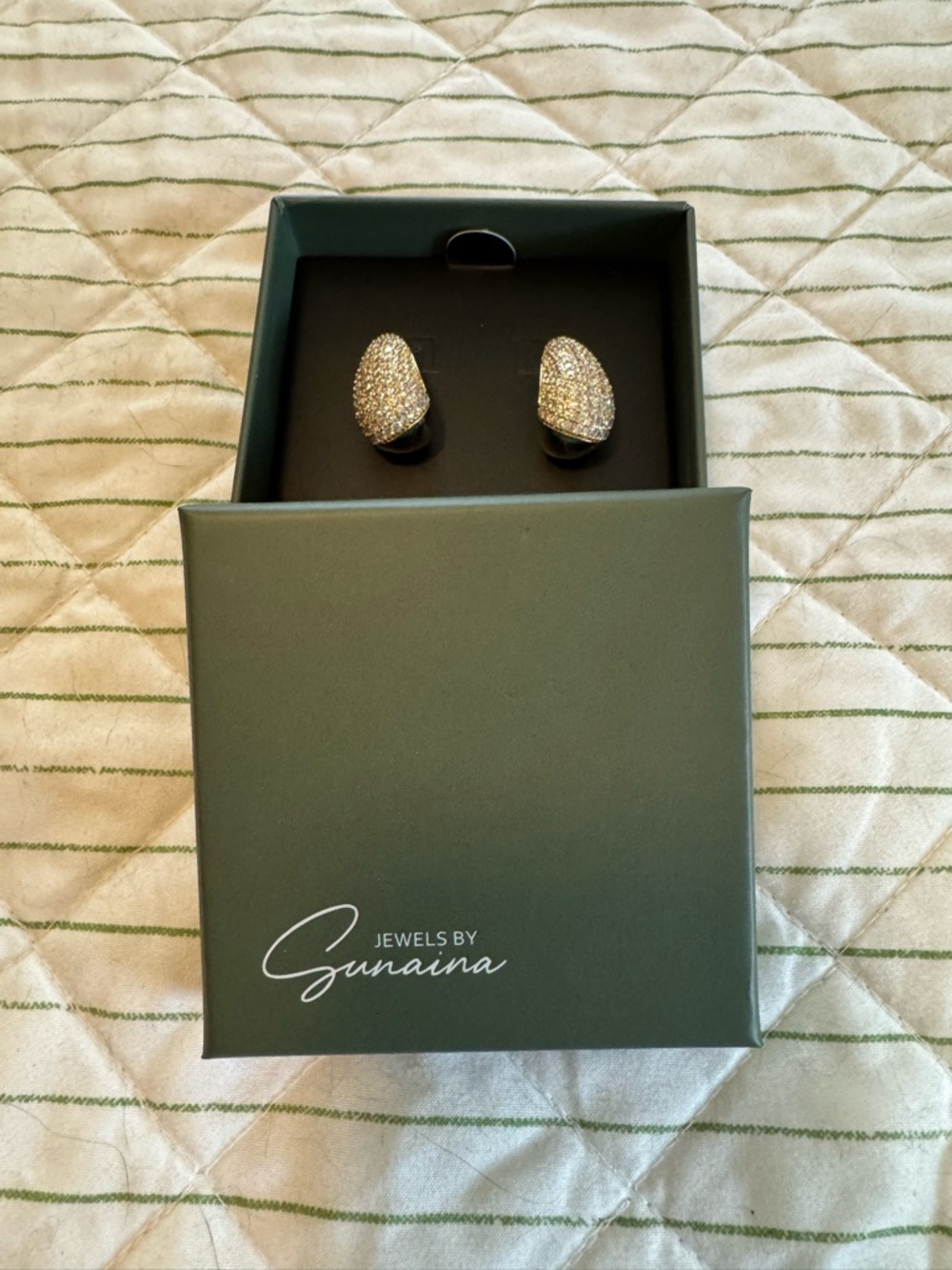 NIB Pavé Teardrop Earrings in Sparkling White